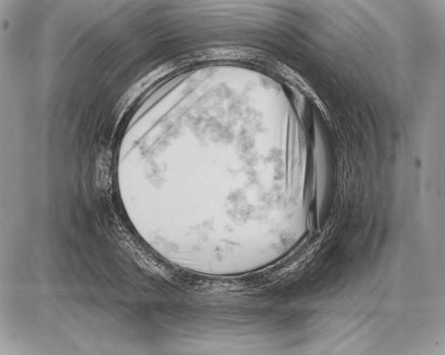 X0000085750786200704131710