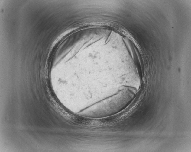 X0000085750787200704131710