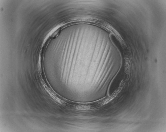 X0000085750788200704131710