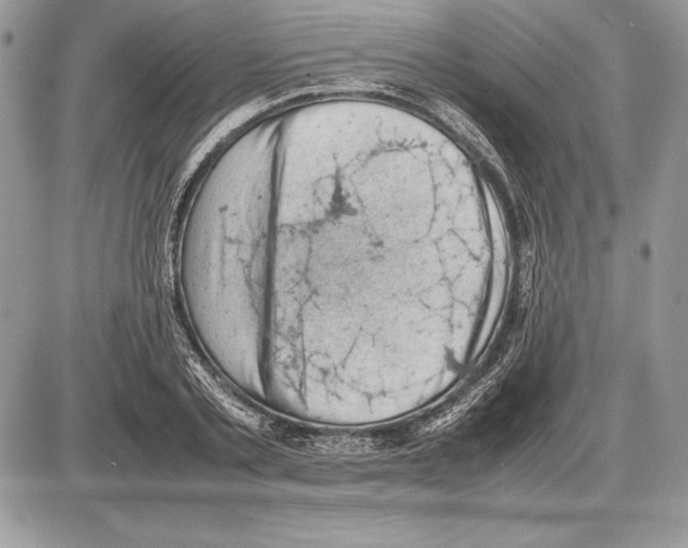 X0000085750789200704131710