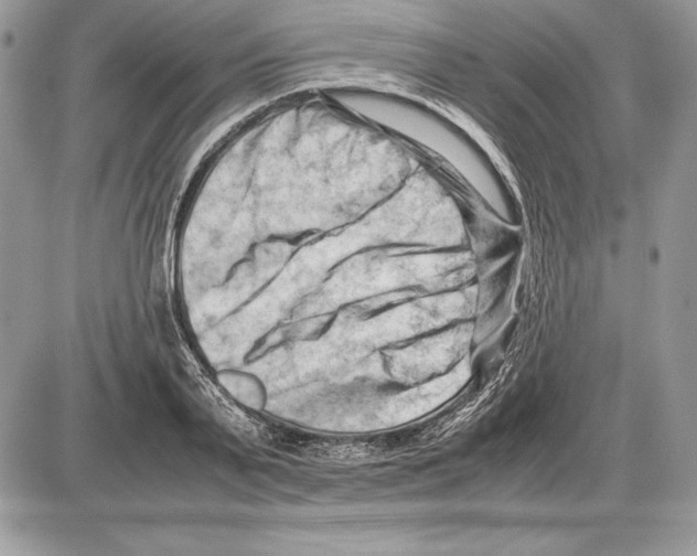 X0000085750791200704131710