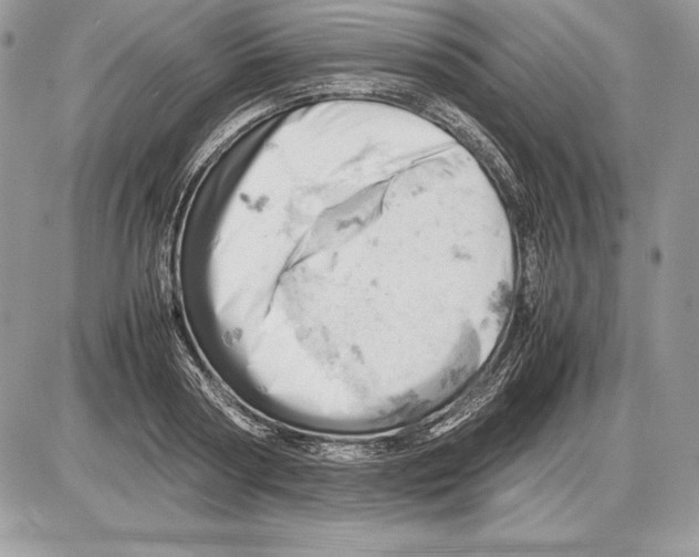 X0000085750794200704131710