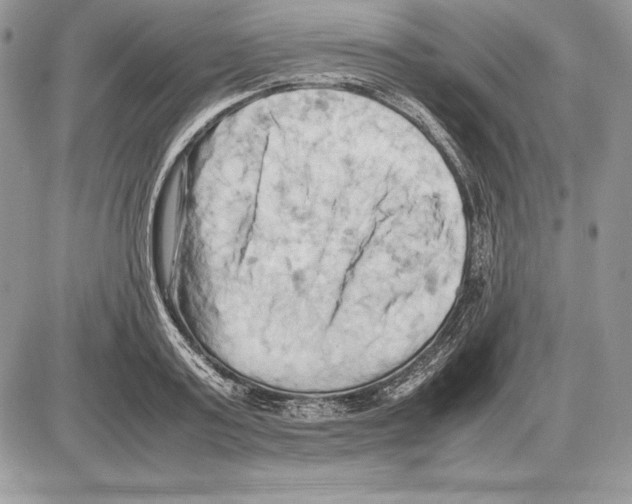 X0000085750795200704131710