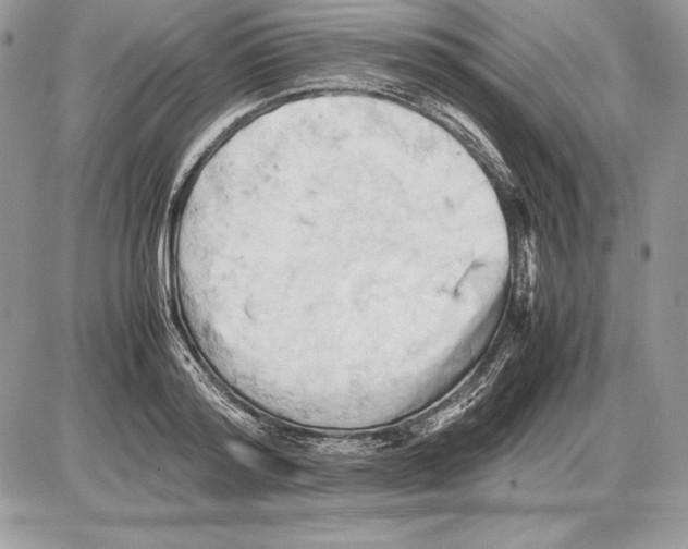 X0000085750796200704131710