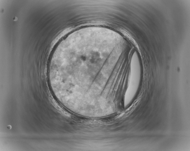 X0000085750797200704131710