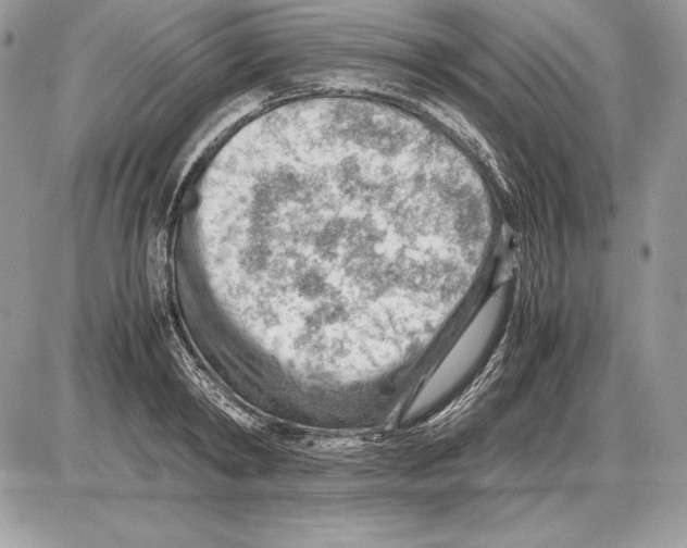 X0000085750798200704131710