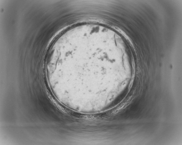 X0000085750799200704131710