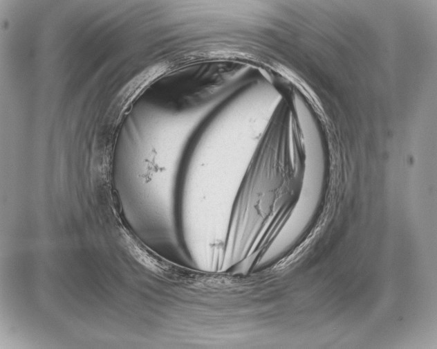 X0000085750801200704131710