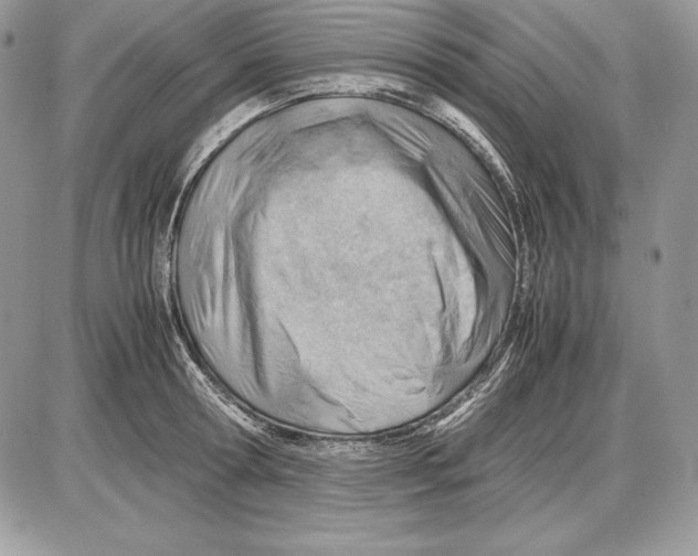 X0000085750802200704131710