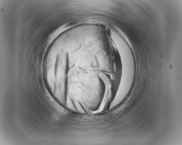 X0000085750803200704131710