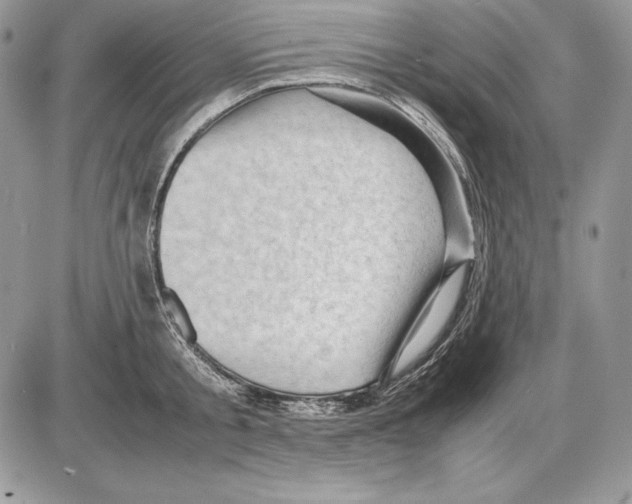 X0000085750805200704131710