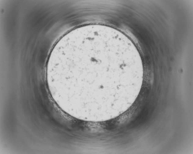 X0000085750807200704131709