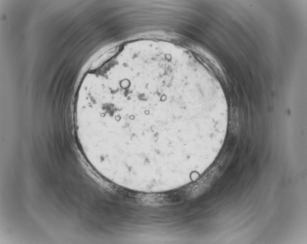 X0000085750808200704131709