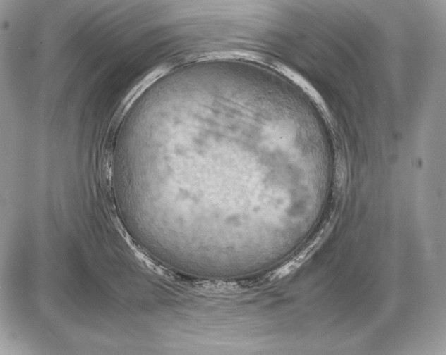 X0000085750809200704131709