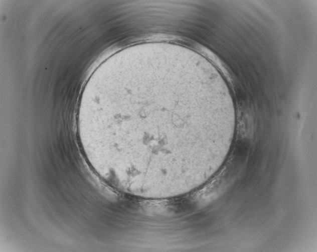 X0000085750810200704131709