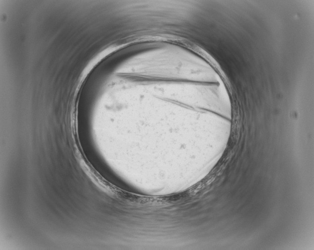 X0000085750811200704131709