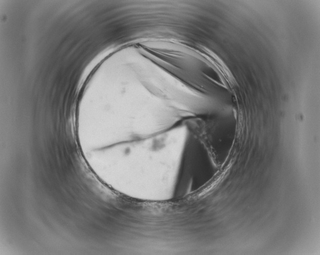 X0000085750812200704131709