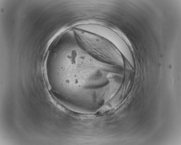 X0000085750813200704131709