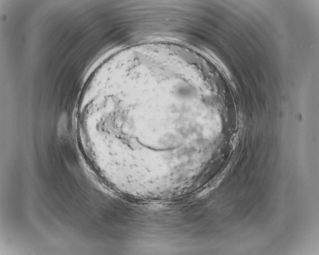 X0000085750814200704131709