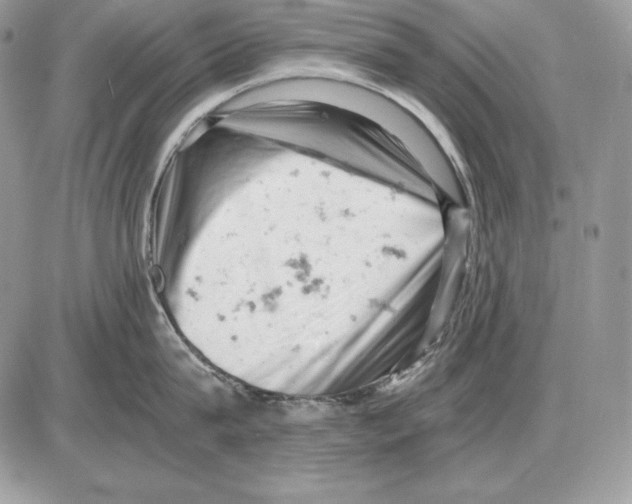 X0000085750815200704131709