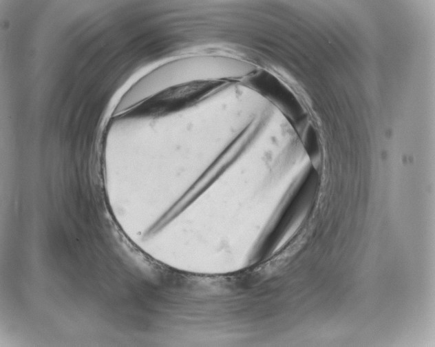 X0000085750816200704131709