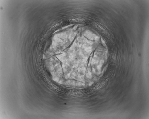 X0000085750817200704131708