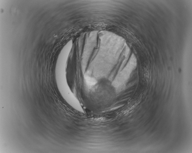 X0000085750818200704131708