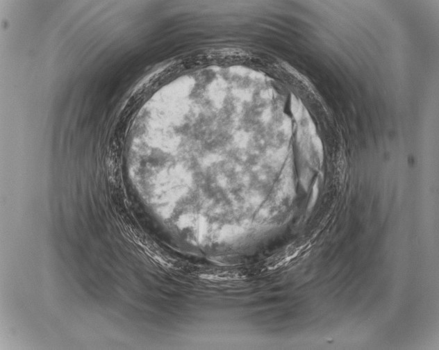 X0000085750823200704131709