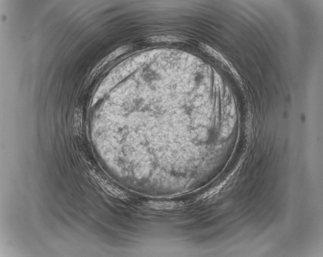 X0000085750825200704131709