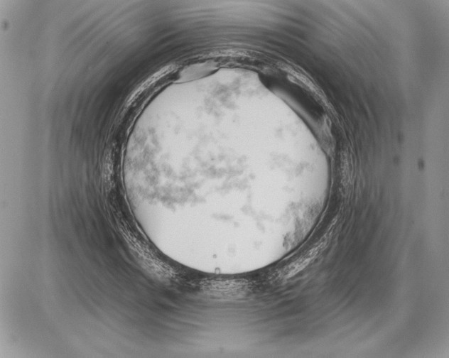 X0000085750826200704131709