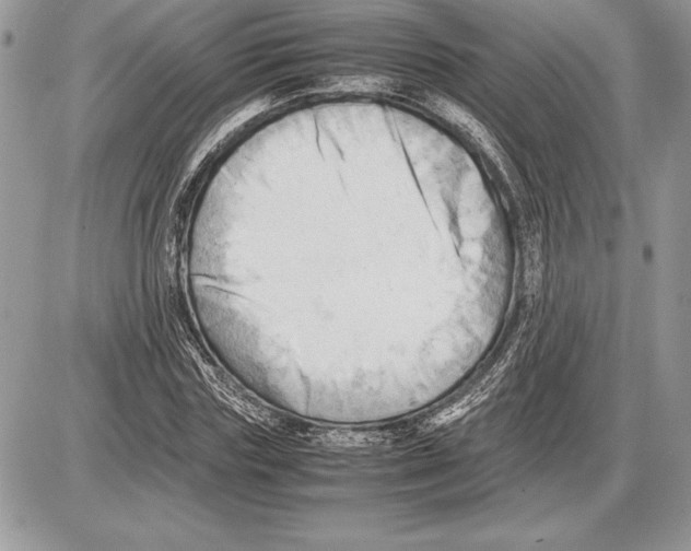 X0000085750827200704131709