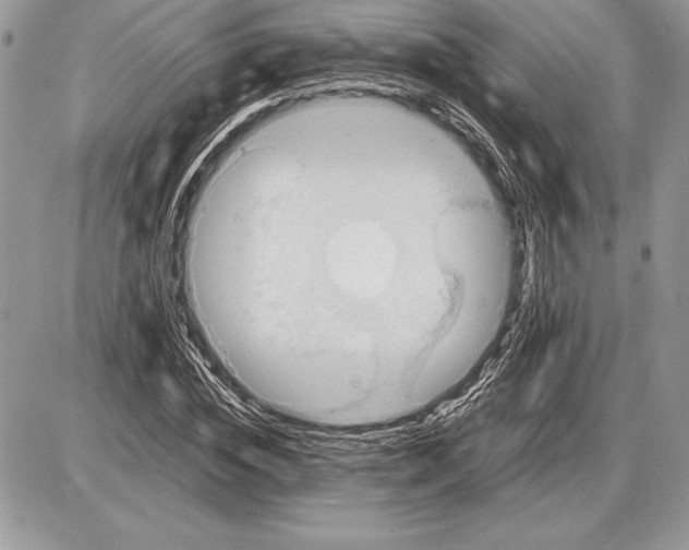 X0000085750828200704131709