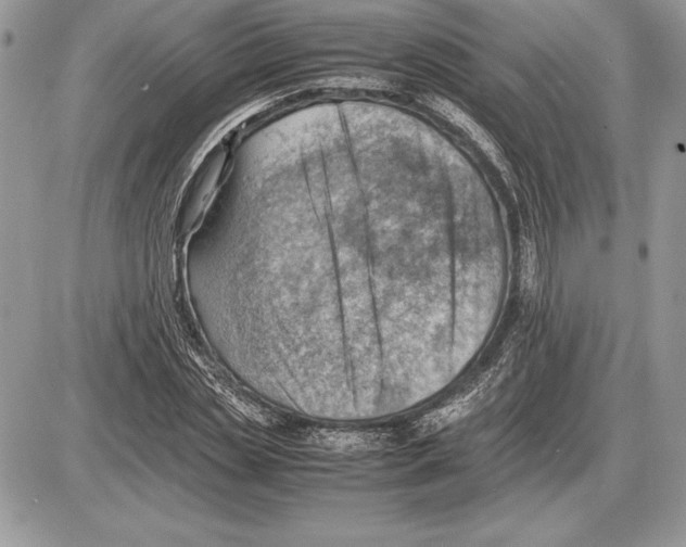 X0000085750829200704131709