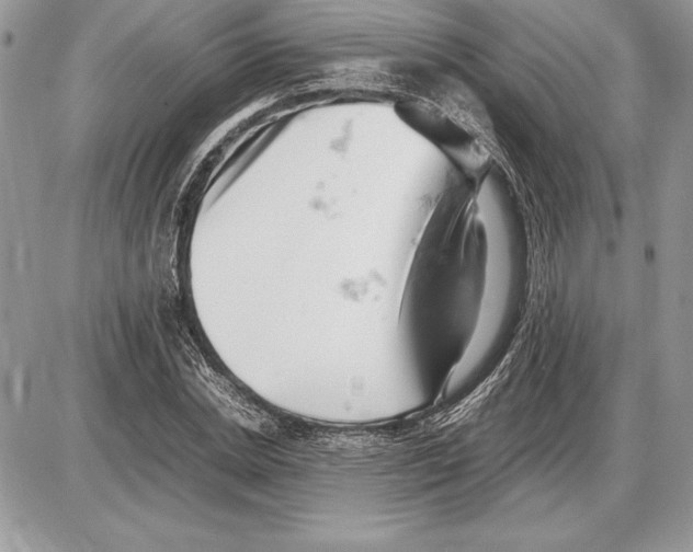 X0000085750830200704131709