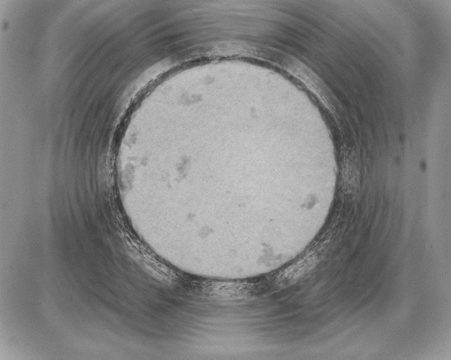 X0000085750832200704131709