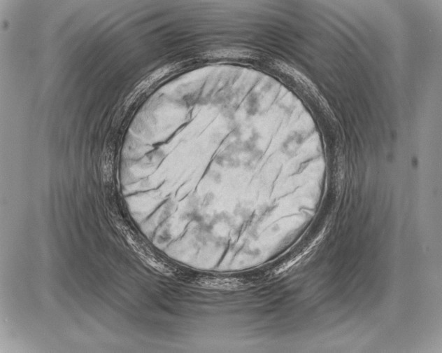 X0000085750833200704131709