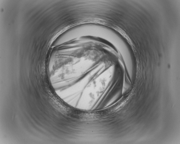 X0000085750834200704131709