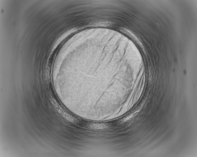 X0000085750835200704131709