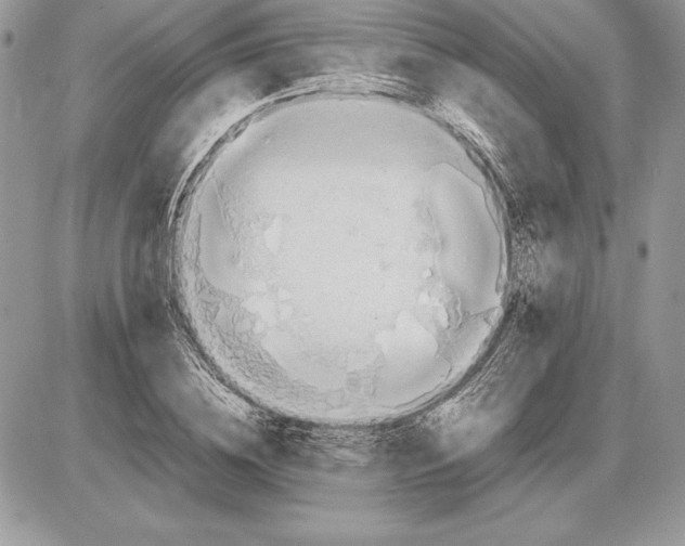 X0000085750836200704131709