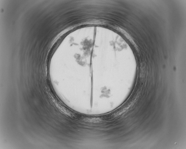 X0000085750837200704131709