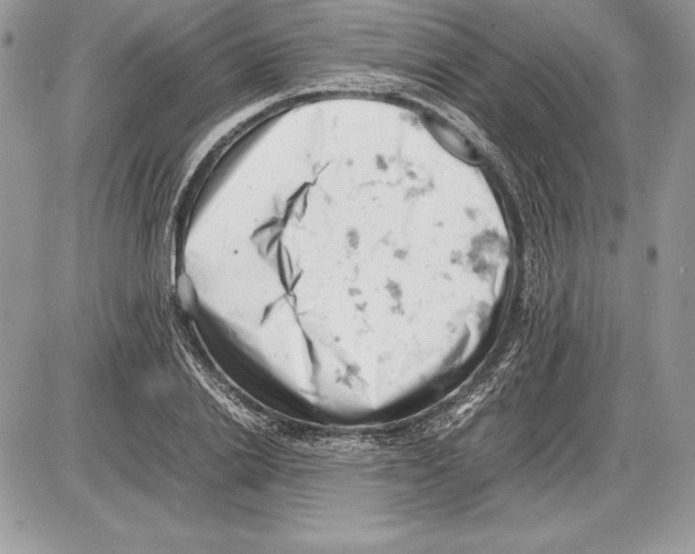 X0000085750838200704131709