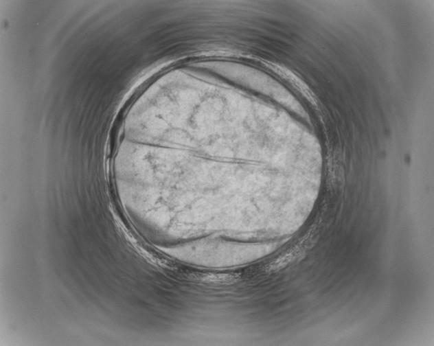 X0000085750839200704131709