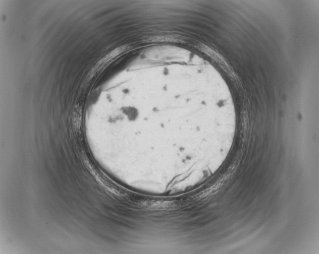 X0000085750841200704131709