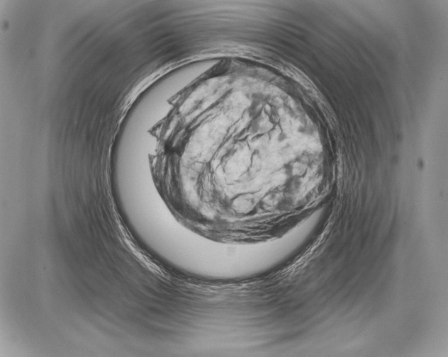 X0000085750842200704131709