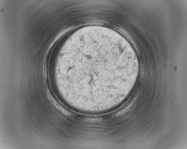 X0000085750843200704131709