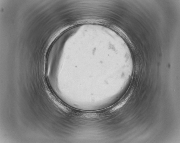 X0000085750844200704131709