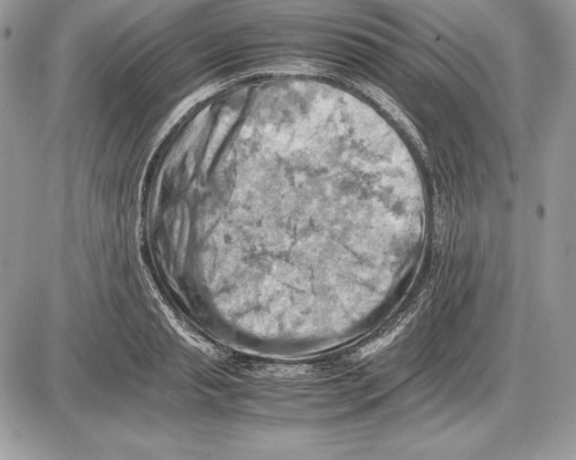 X0000085750845200704131709