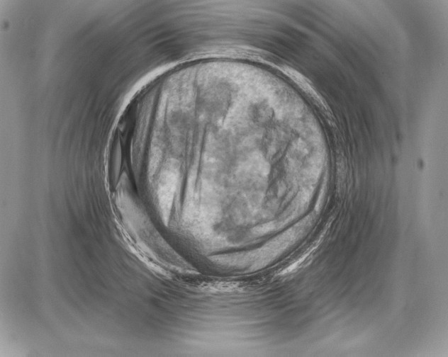 X0000085750846200704131709