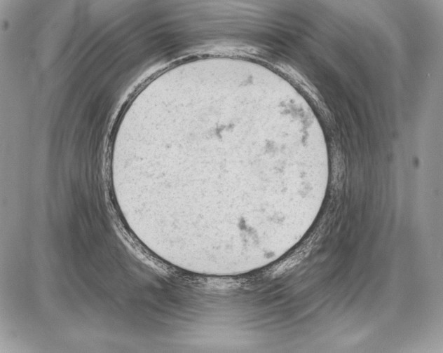 X0000085750848200704131709