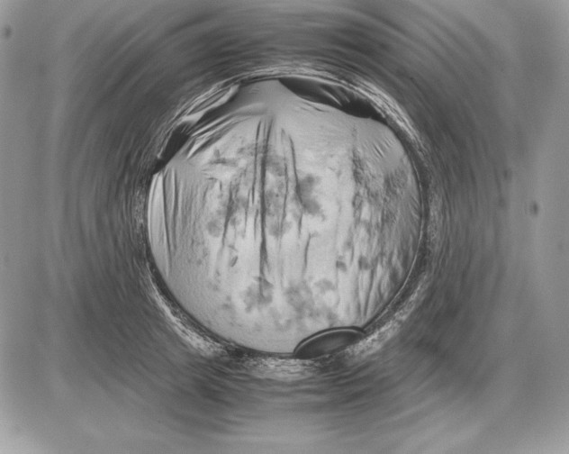 X0000085750849200704131709